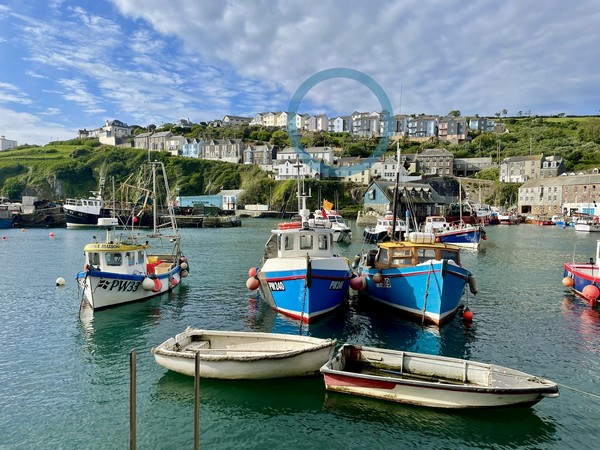 Trewollock harbour views Mevagissey